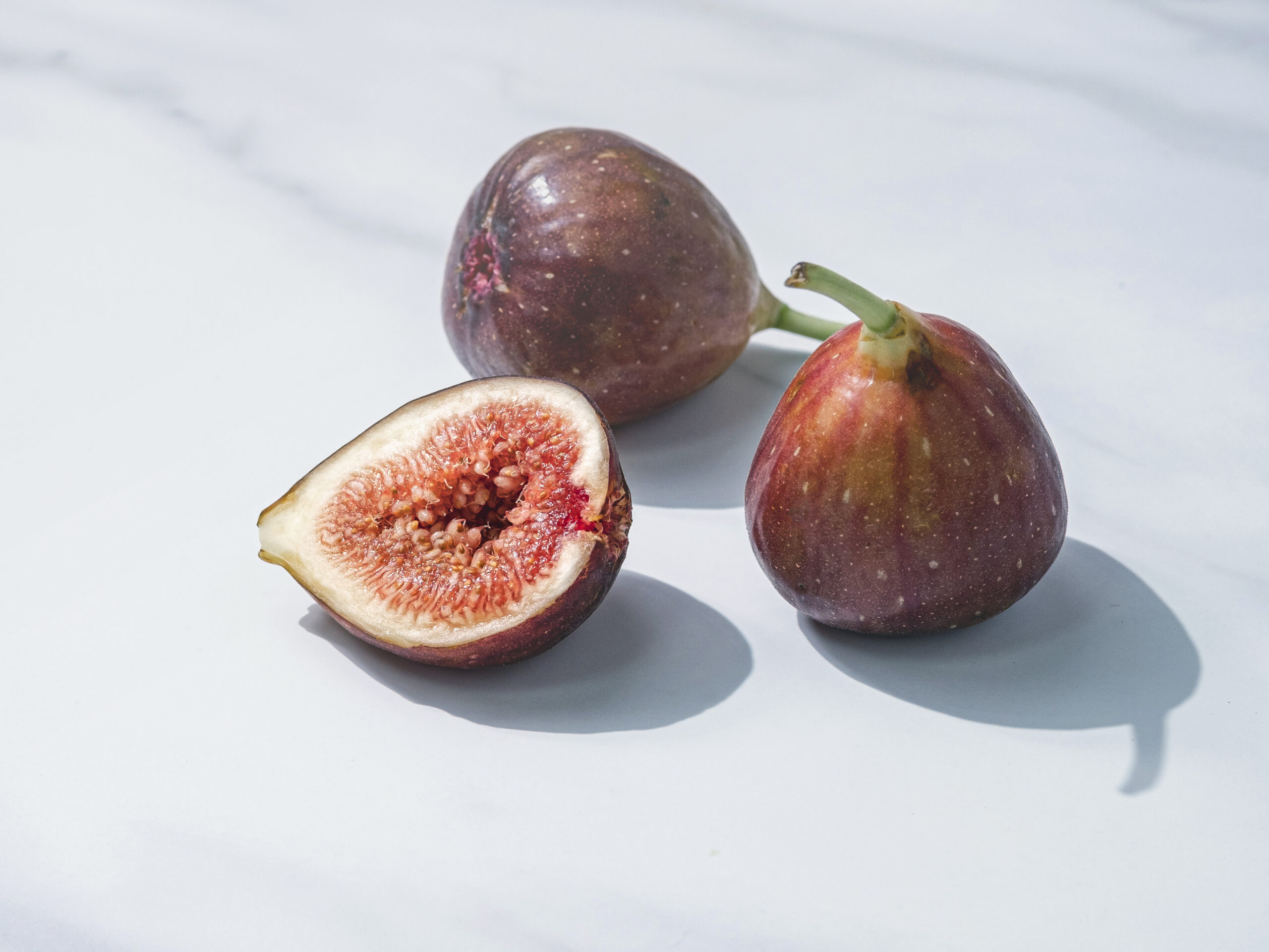 J-275★O'rourke★　イチジク（無花果）★ The LSU Fig Collection LSU シリーズ イチジク(Dr. Ed O\u0027Rourke・エド